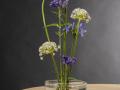 Kenzan, spetsig groda Ikebana L